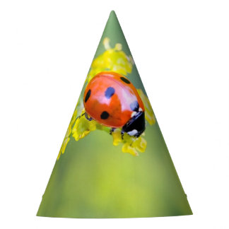 Chapéu De Festa senhora no topo