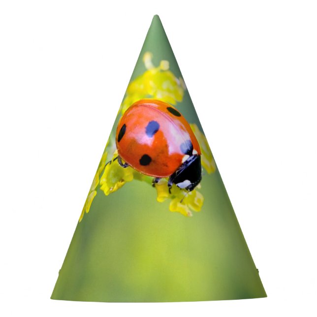 Chapéu De Festa senhora no topo (Frente)