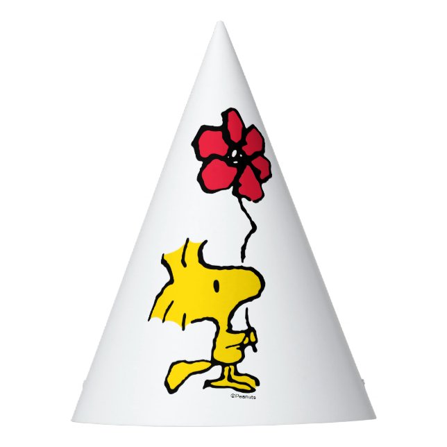 Chapéu De Festa Snoopy So Sweet Flower Pattern (Frente)