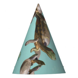 Chapéu De Festa Tartarugas