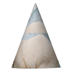 Chapéu De Festa Urso Polar: Vislumbre Zoo Habitat