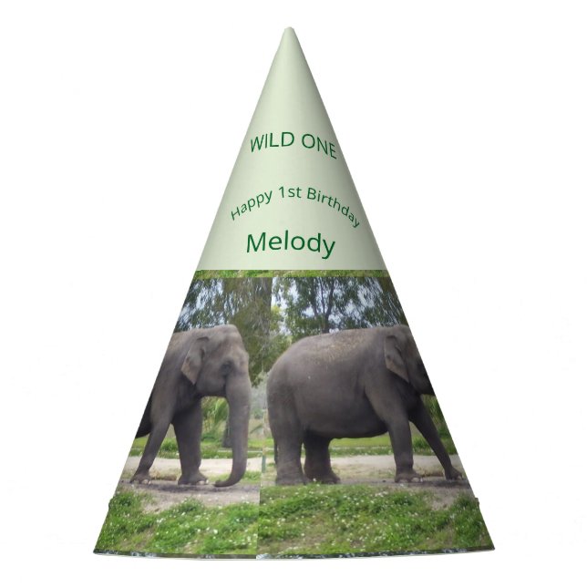 Chapéu De Festa Wild One Elephant Birthday Cone Design (Frente)