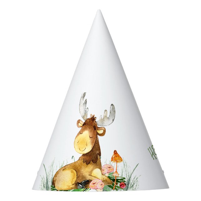Chapéu De Festa Woodland Baby Fox Green Party Hat (Frente)