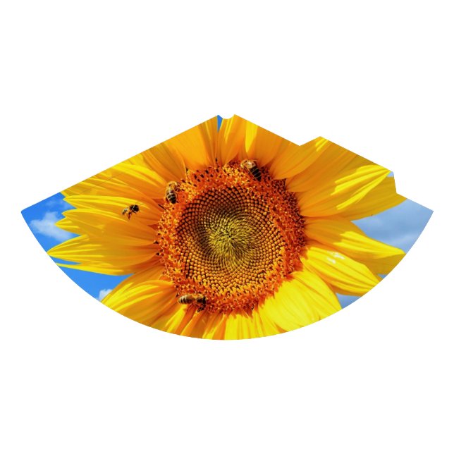 Chapéu do Partido Girassol e Abelhas (Frente)