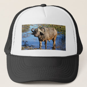 Chapéus & bonés do safari do búfalo do cabo