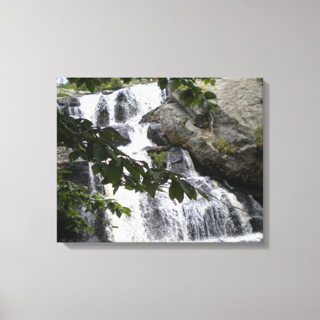 Chapman Falls Canvas (Frente)