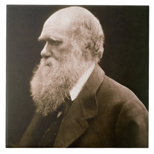 Charles Darwin (1809-82) (foto)