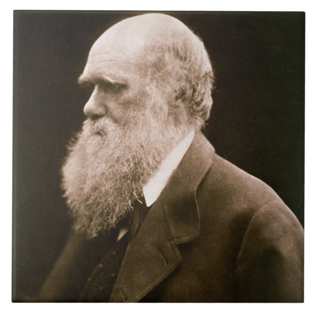 Charles Darwin (1809-82) (foto) (Frente)