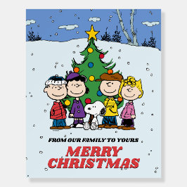 Charlie Brown e Amigos Natal