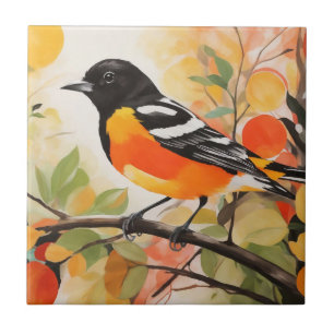 Charm Bird Baltimore Oriole, da Springtime Nature