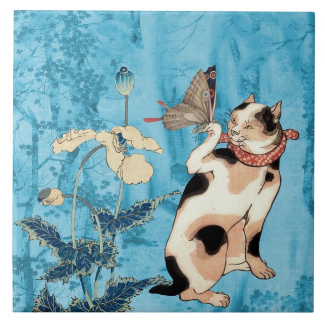 Charmer Borboleta (Frente)