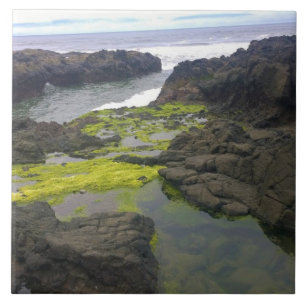 Chasm de Cook, Cabo Perpétua, OR