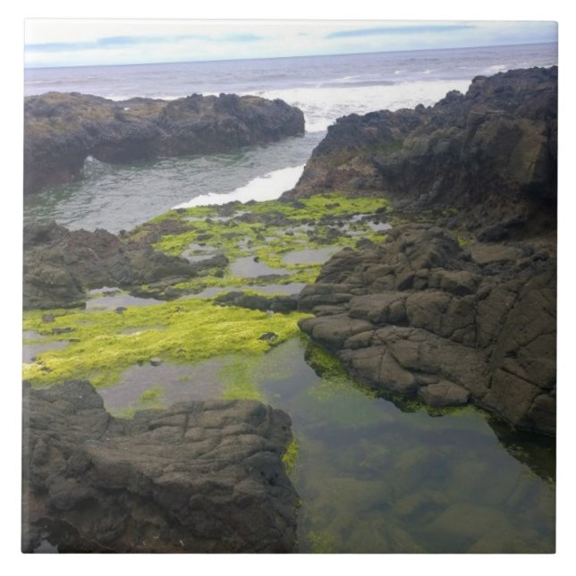 Chasm de Cook, Cabo Perpétua, OR (Frente)
