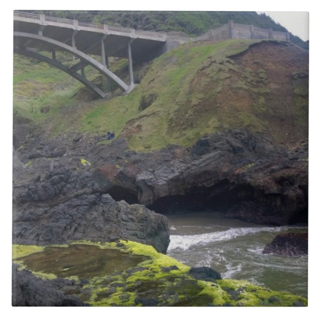 Chasm de Cook, Cabo Perpétua, OR (Frente)