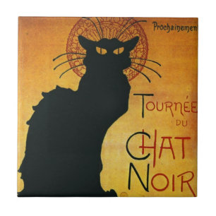 Chat Noir - Gato Preto