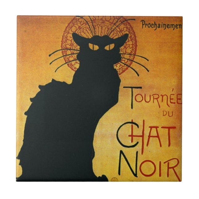 Chat Noir - Gato Preto (Frente)