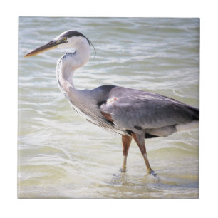 Chave Blue Heron on Lovers