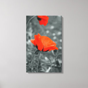 Chave de cor Impressão em tela embrulhada Poppy