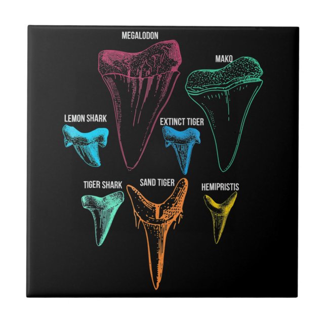 Chave de Identidade de Caça-Dentes de Tubarão (Frente)