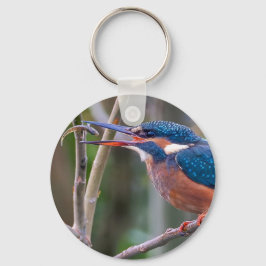 Chaveiro