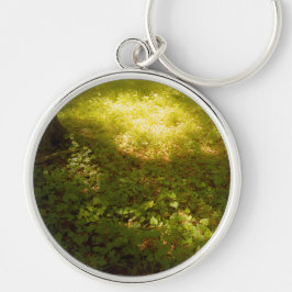 CHAVEIRO やわらかなひかり