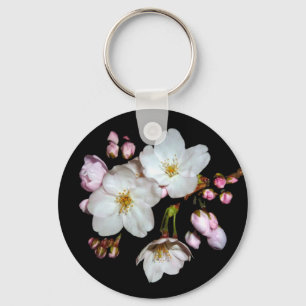 Chaveiro 募 金 用, Cherry floresce , 桜