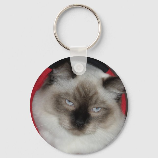 CHAVEIRO 2009_12090051 (Frente)