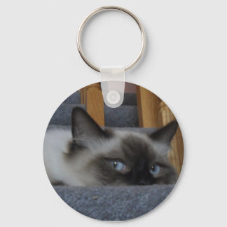 CHAVEIRO 2010_030009