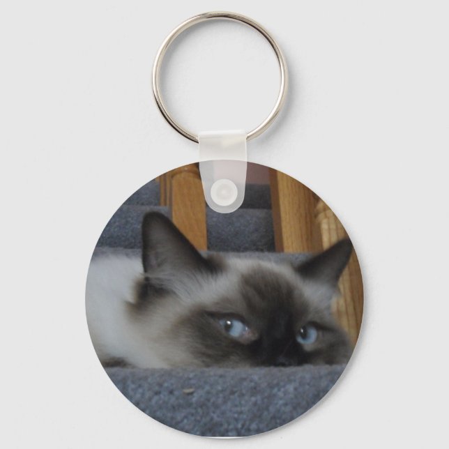 CHAVEIRO 2010_030009 (Frente)