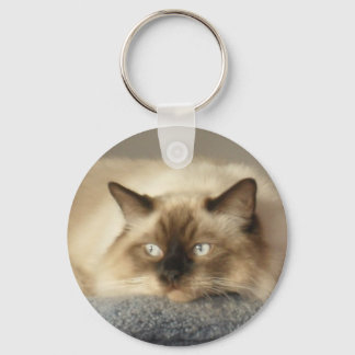 CHAVEIRO 2010_0424003