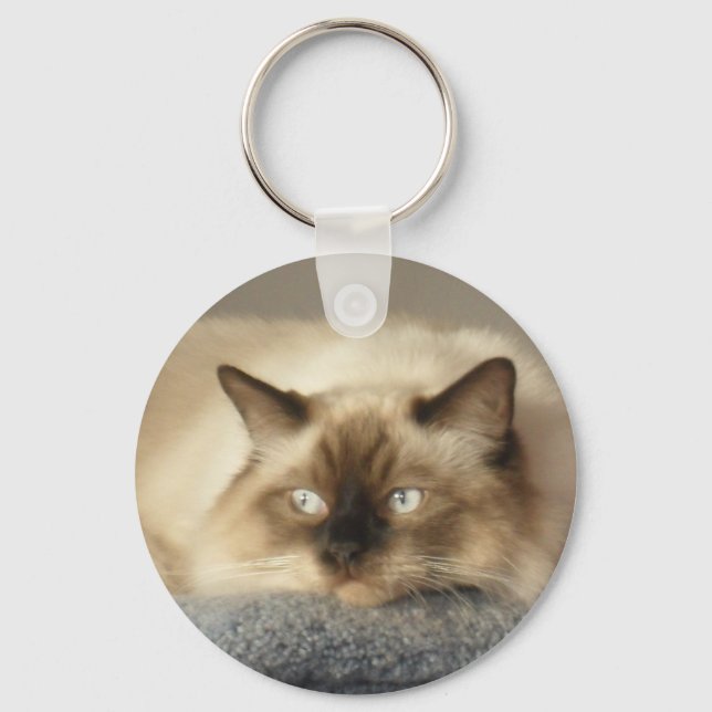 CHAVEIRO 2010_0424003 (Frente)