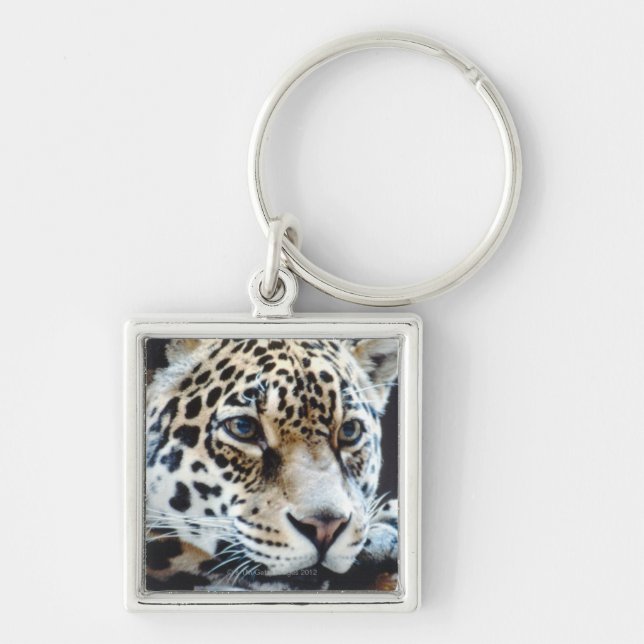 CHAVEIRO 24114363 (Frente)