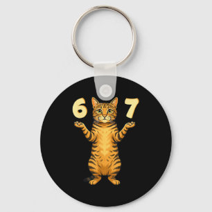Chaveiro 67 Meme de Gato Engraçado Gíria Humor Gen Alpha Pa