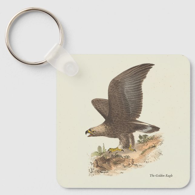 Chaveiro A Águia Ouro (Aquila chrysaetos) NY Imagem do Páss (Frente)