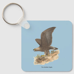 Chaveiro A Águia Ouro (Aquila chrysaetos) NY Imagem do Páss