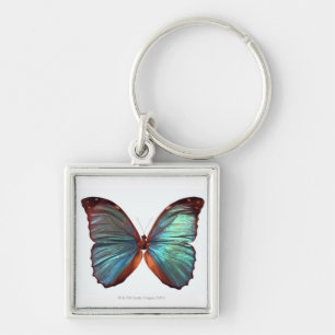 Chaveiro A borboleta com asas espalhou 2