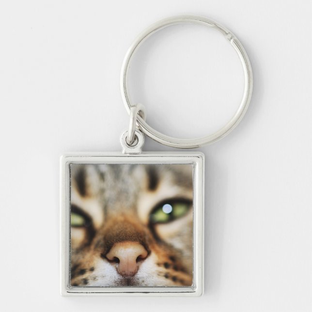 Chaveiro A cara de um gato (Frente)