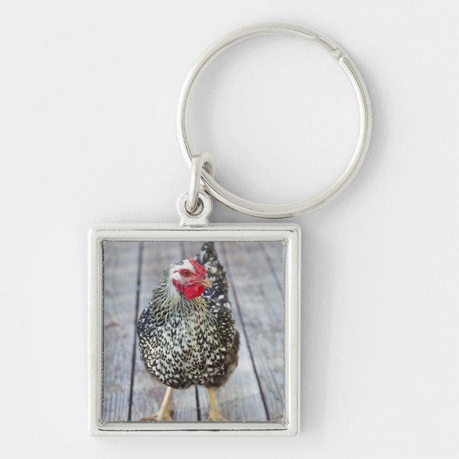 Chaveiro A galinha na plataforma de madeira, prateia (Frente)