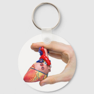 Chaveiro A mão guardara o coração humano modelo entre os