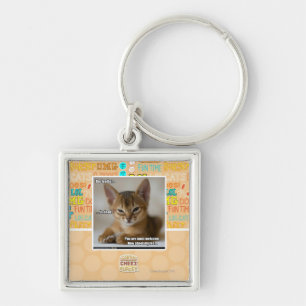 Chaveiro A pena está inoperante