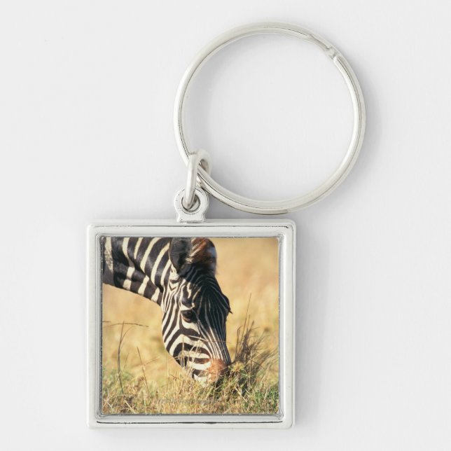Chaveiro A zebra 2 de Burchell (Frente)