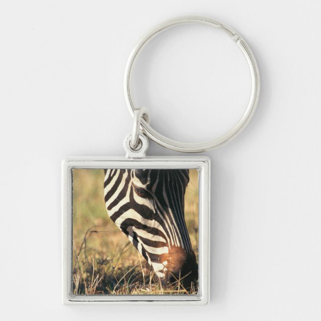 Chaveiro A zebra de Burchell (Frente)
