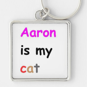 Chaveiro Aaron é meu gato