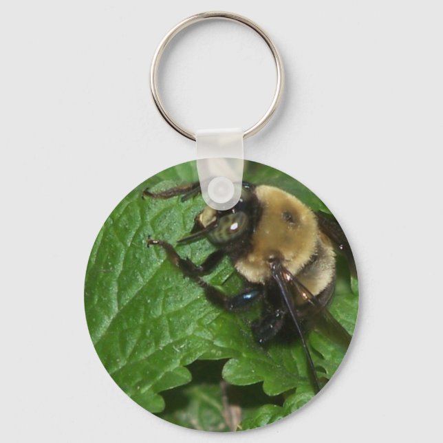 Chaveiro Abelha em Lemon Balm (Frente)