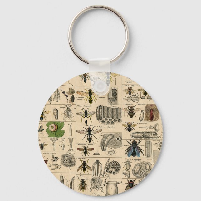 Chaveiro Abelhas De Inseto Insetos Vaza História Natural (Frente)