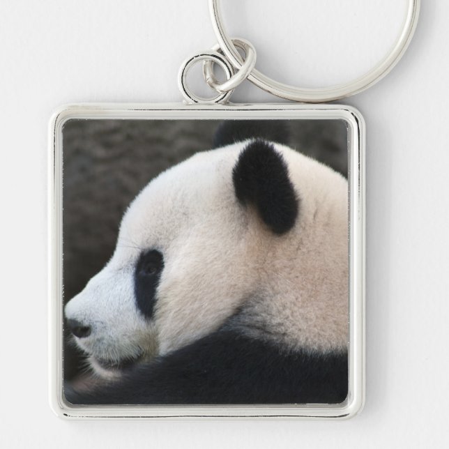 Chaveiro Abraços de Urso Panda (Frente)