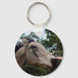 Chaveiro Acariciando um cavalo castanho cinza