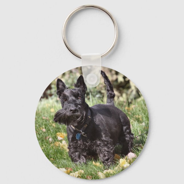 Chaveiro Ach (Frente)