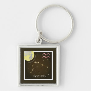 Chaveiro Acquario 21 gen. al 18 fev. Schlüsselanhänger