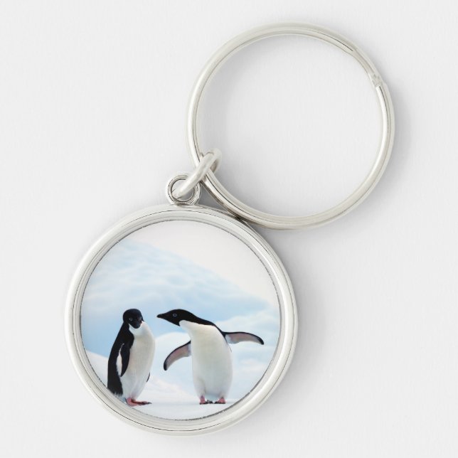 Chaveiro Adelie Penguins (Frente)